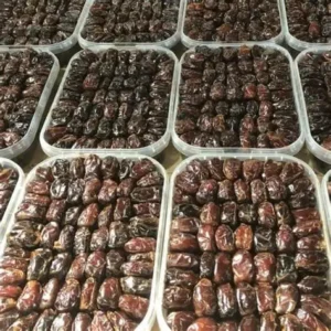 خرما کبکاب يسنا 1600 گرمی