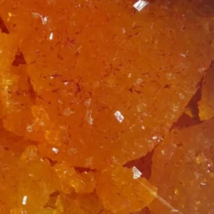 نبات تخت زعفرانی (امیر حاتمی)