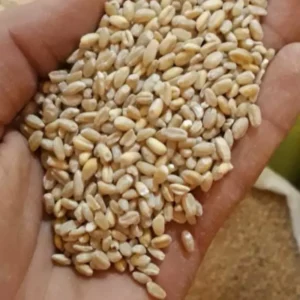 گندم پوست کنده 900 گرم بهنام